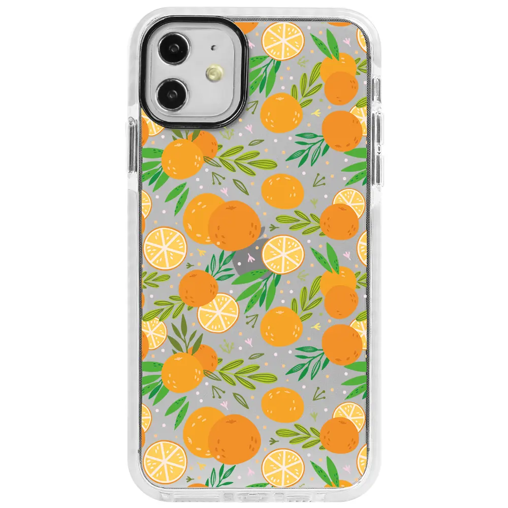 Apple iPhone 11 Beyaz Impact Premium Telefon Kılıfı - Portakal Bahçesi 2