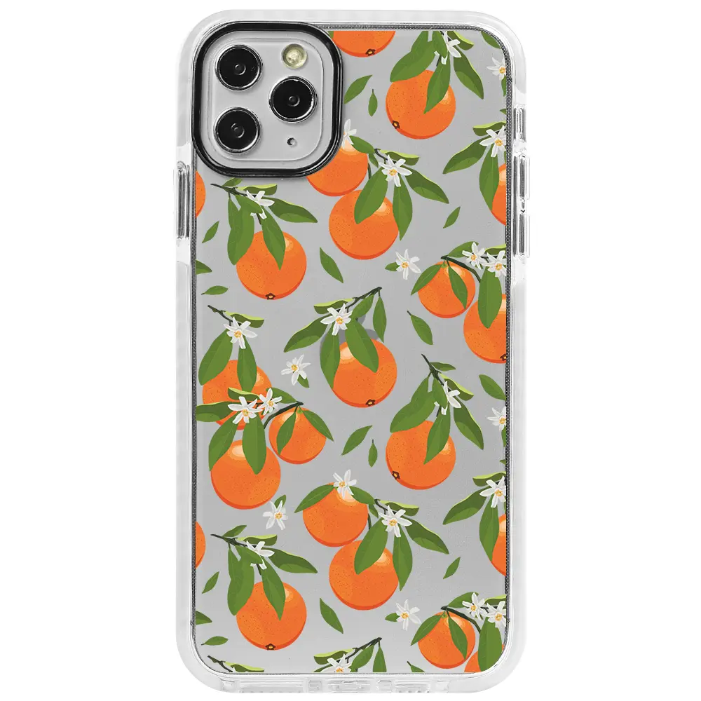 Apple iPhone 11 Pro Beyaz Impact Premium Telefon Kılıfı - Portakal Bahçesi