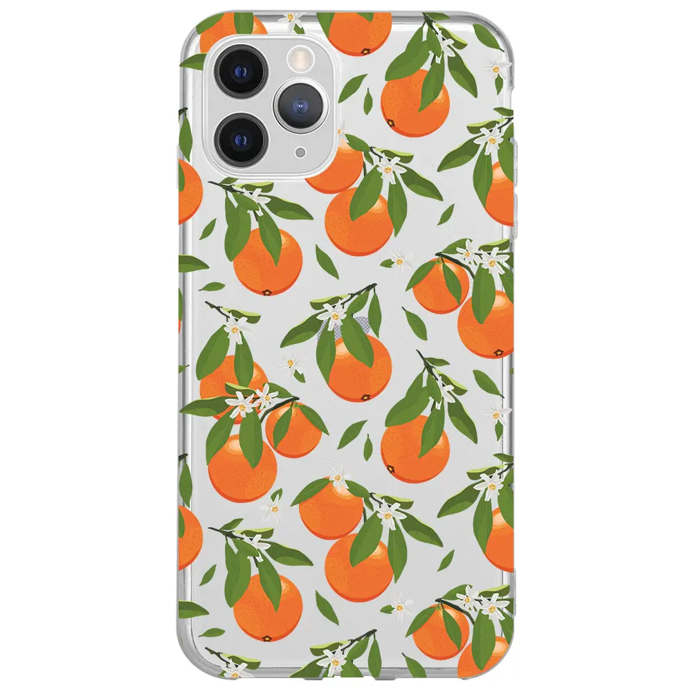 Apple iPhone 11 Pro Max Şeffaf Telefon Kılıfı - Portakal Bahçesi