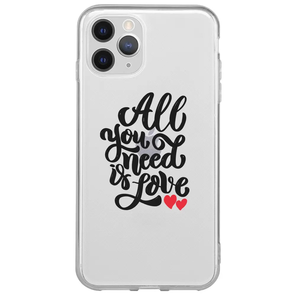 Apple iPhone 11 Pro Max Şeffaf Telefon Kılıfı - You Need Love