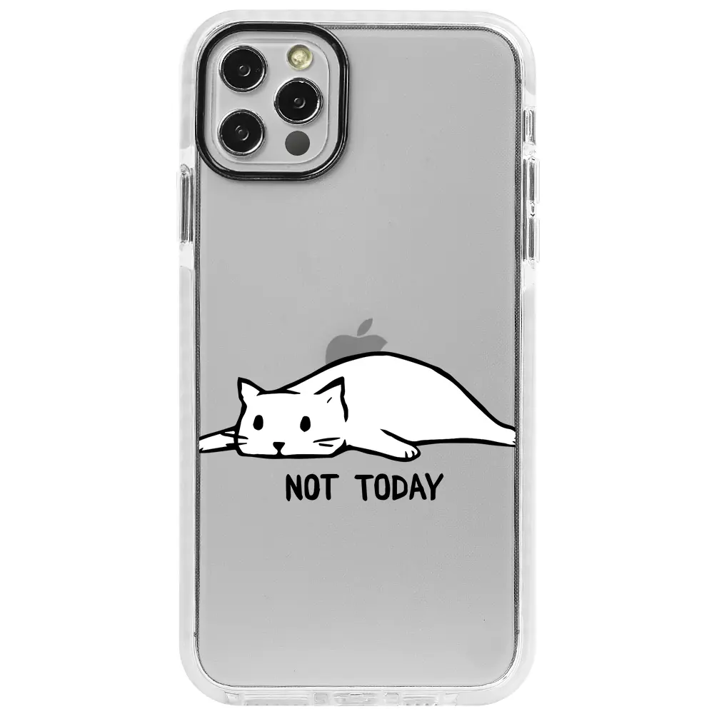 Apple iPhone 12 Pro Max Beyaz Impact Premium Telefon Kılıfı - Not Today Cat