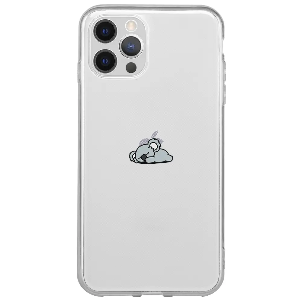 Apple iPhone 12 Pro Max Şeffaf Telefon Kılıfı - Koala