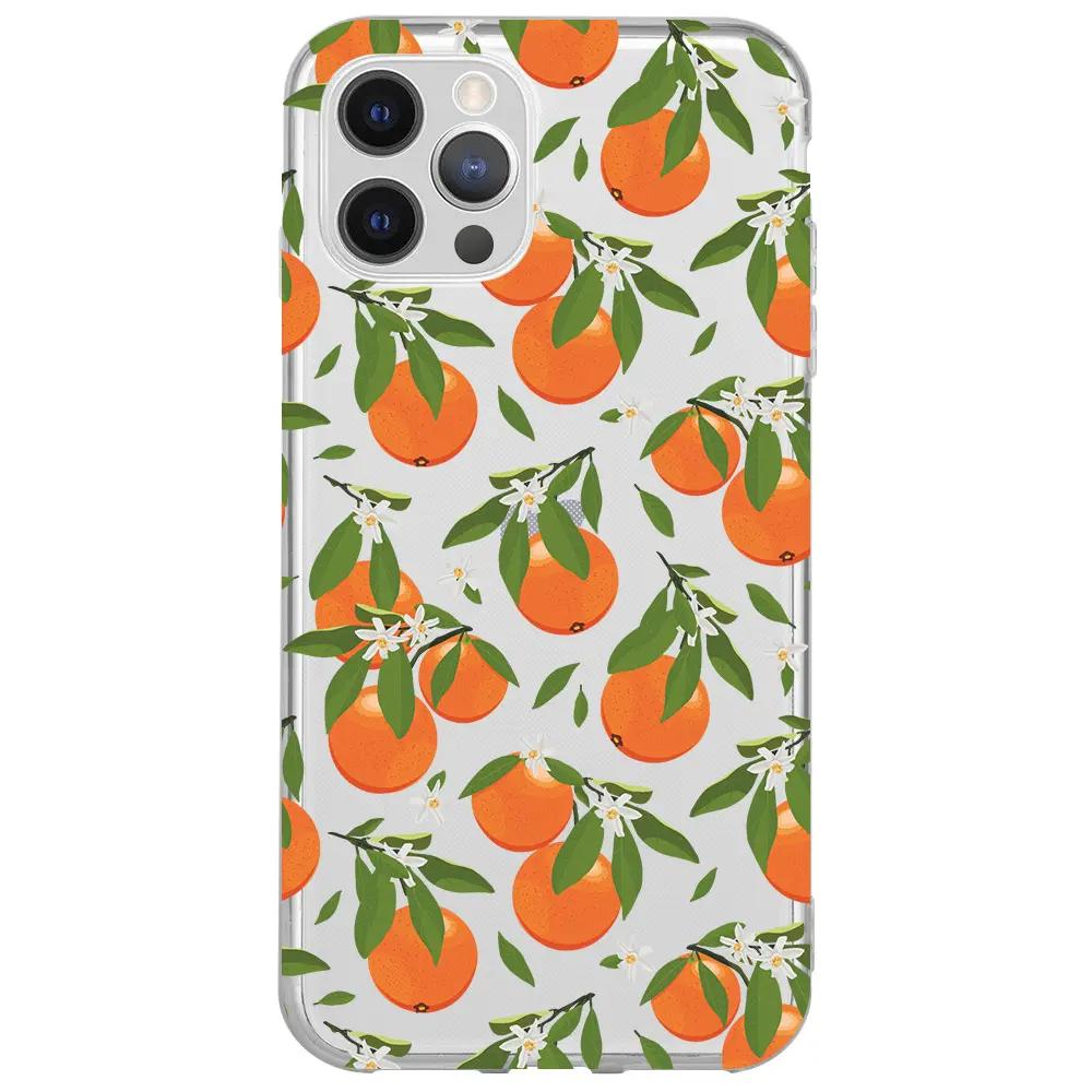 Apple iPhone 12 Pro Max Şeffaf Telefon Kılıfı - Portakal Bahçesi