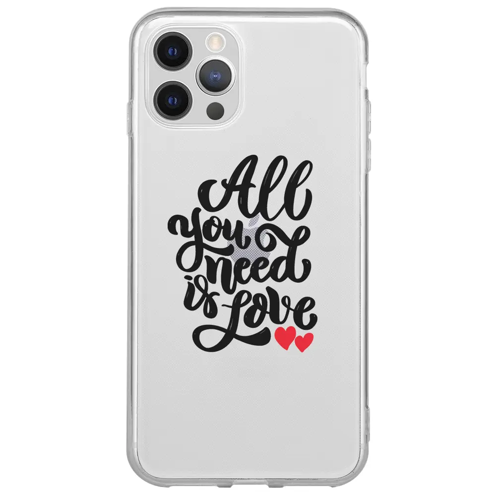 Apple iPhone 12 Pro Max Şeffaf Telefon Kılıfı - You Need Love