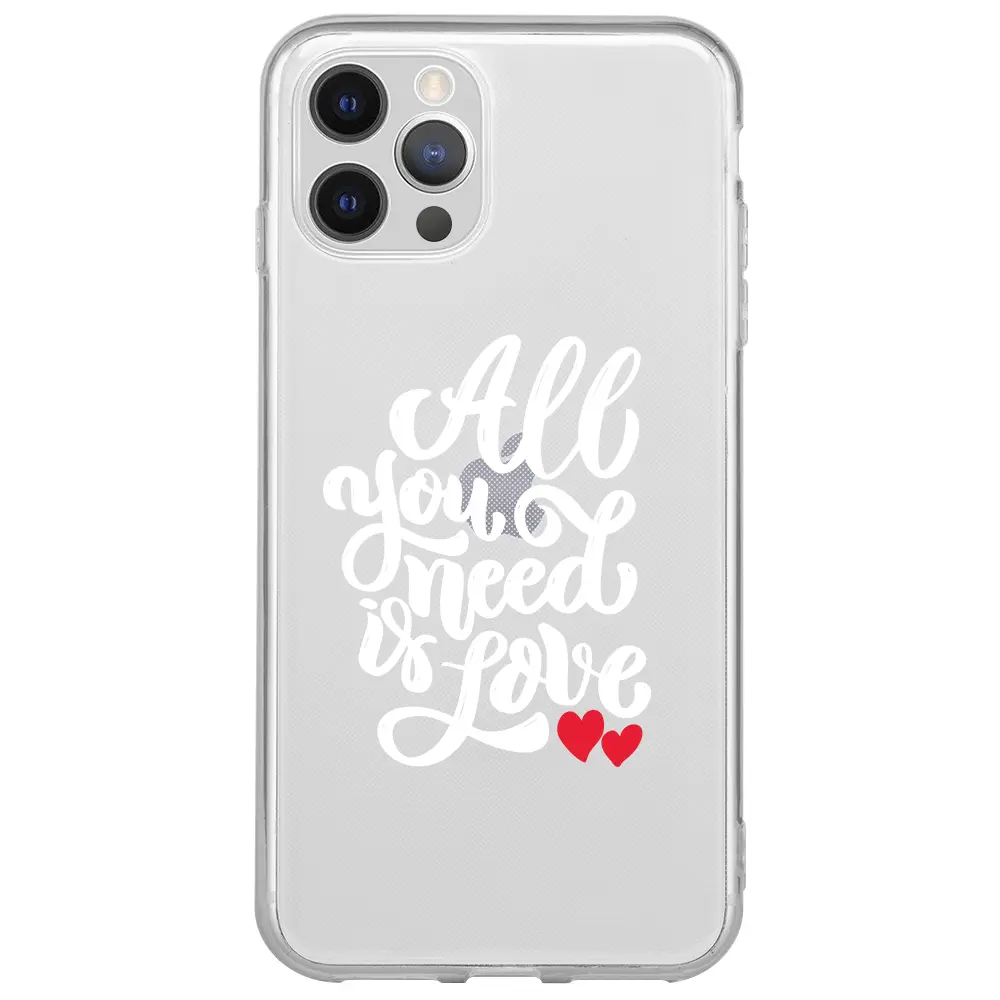 Apple iPhone 12 Pro Şeffaf Telefon Kılıfı - Need Love