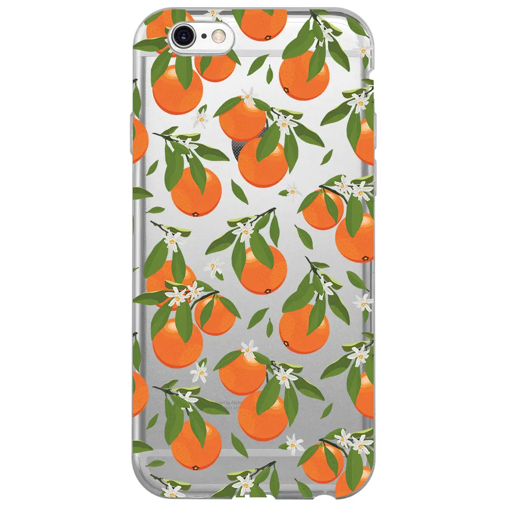 Apple iPhone 6S Şeffaf Telefon Kılıfı - Portakal Bahçesi