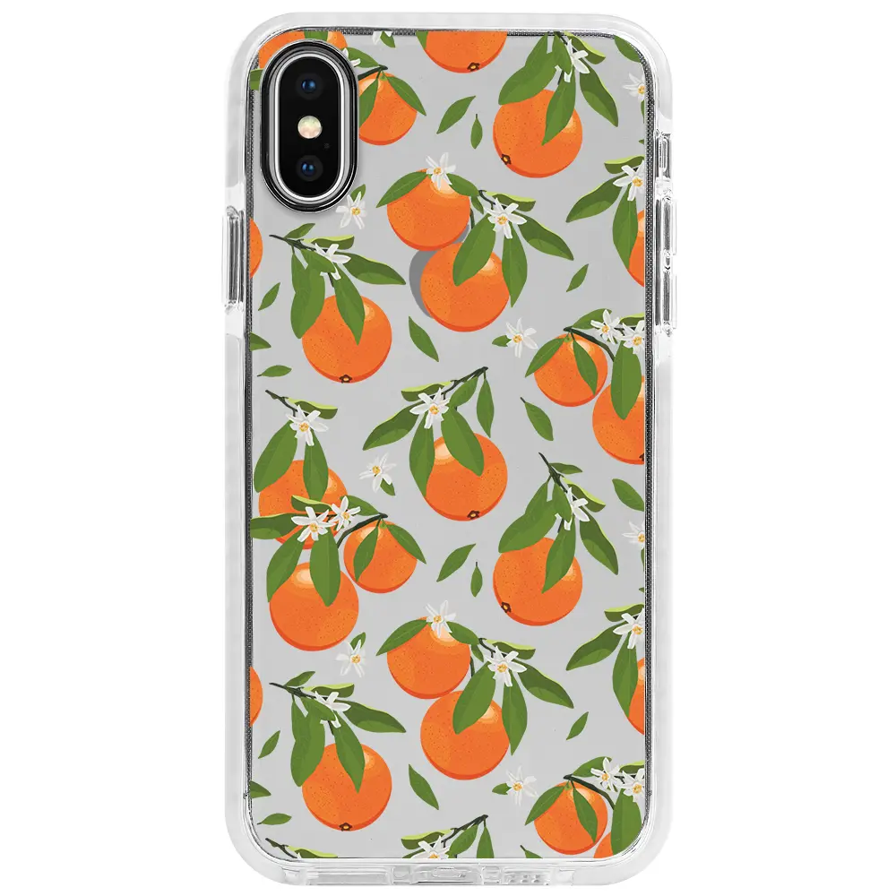 Apple iPhone X Beyaz Impact Premium Telefon Kılıfı - Portakal Bahçesi