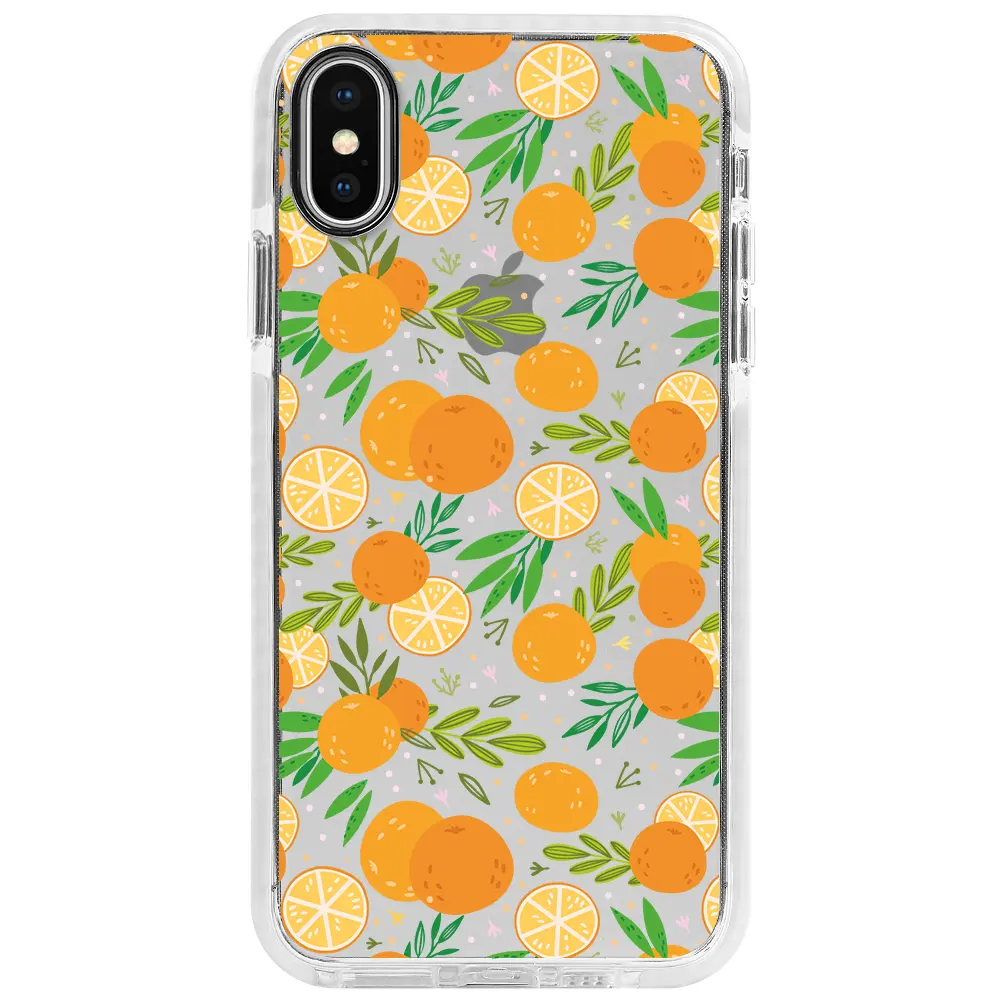 Apple iPhone XS Max Beyaz Impact Premium Telefon Kılıfı - Portakal Bahçesi 2