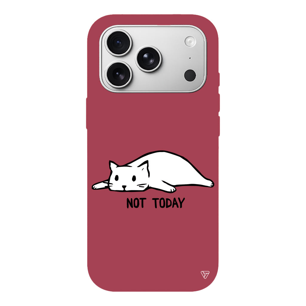 Kedi Not Today Lansman Model İçi Kadife Silikon Telefon Kılıfı