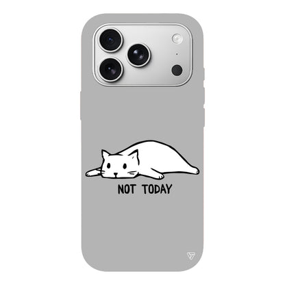 Kedi Not Today Lansman Model İçi Kadife Silikon Telefon Kılıfı