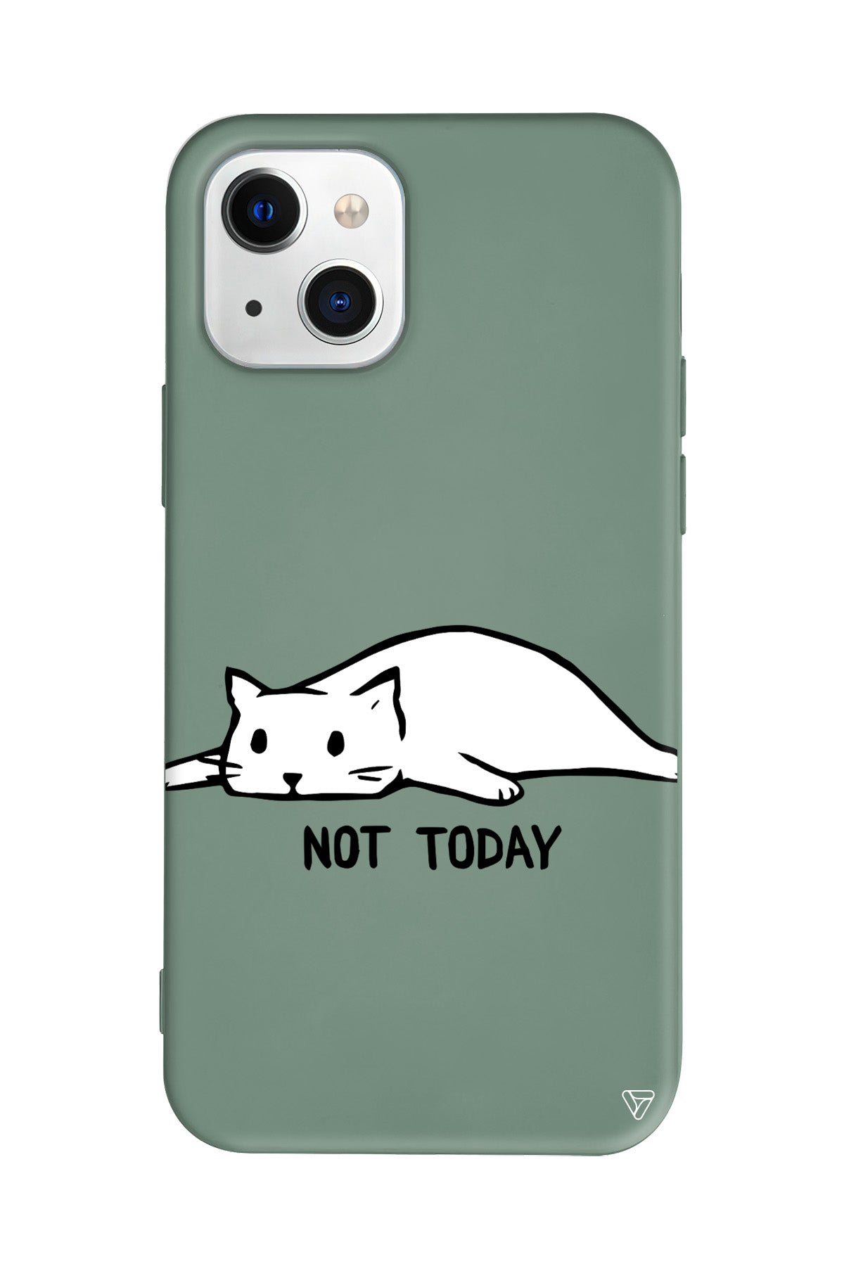 Kedi Not Today Lansman Model İçi Kadife Silikon Telefon Kılıfı