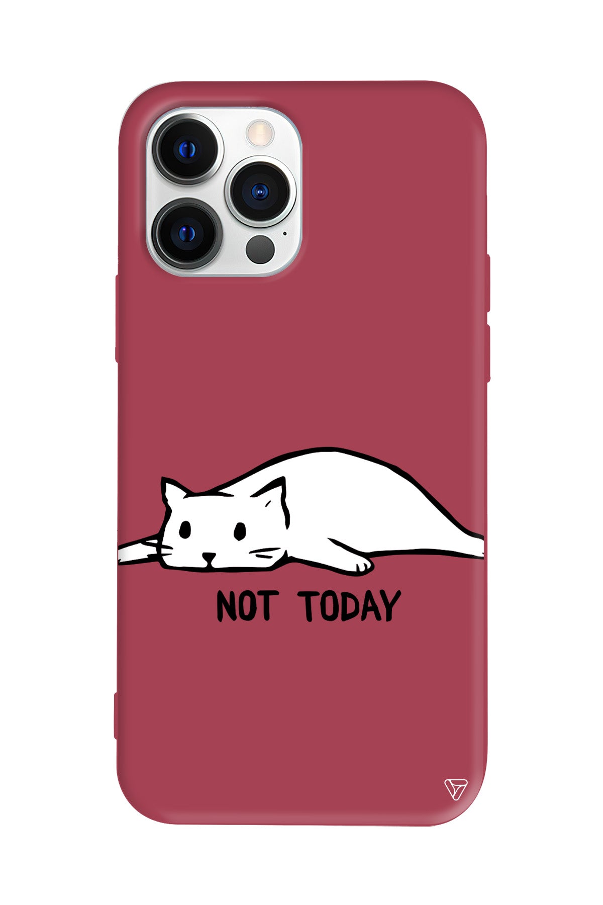 Kedi Not Today Lansman Model İçi Kadife Silikon Telefon Kılıfı