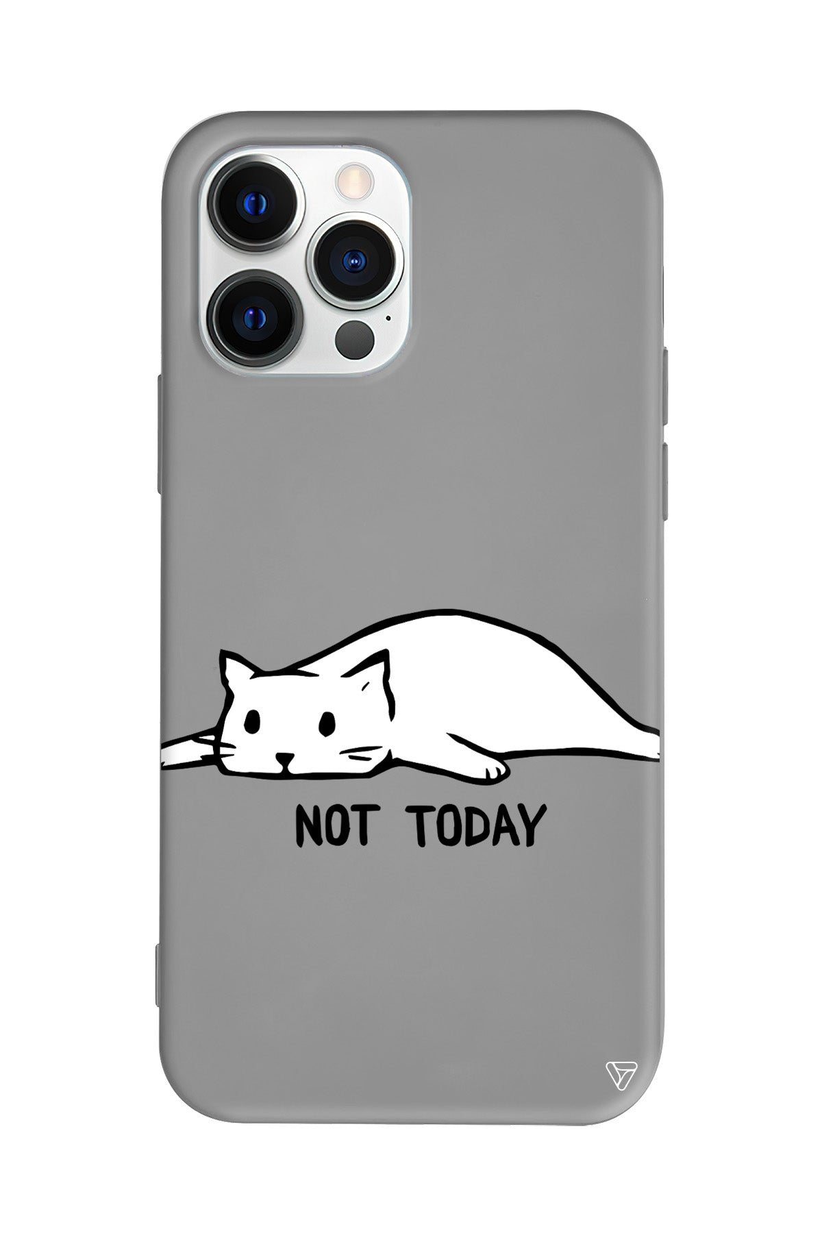 Kedi Not Today Lansman Model İçi Kadife Silikon Telefon Kılıfı