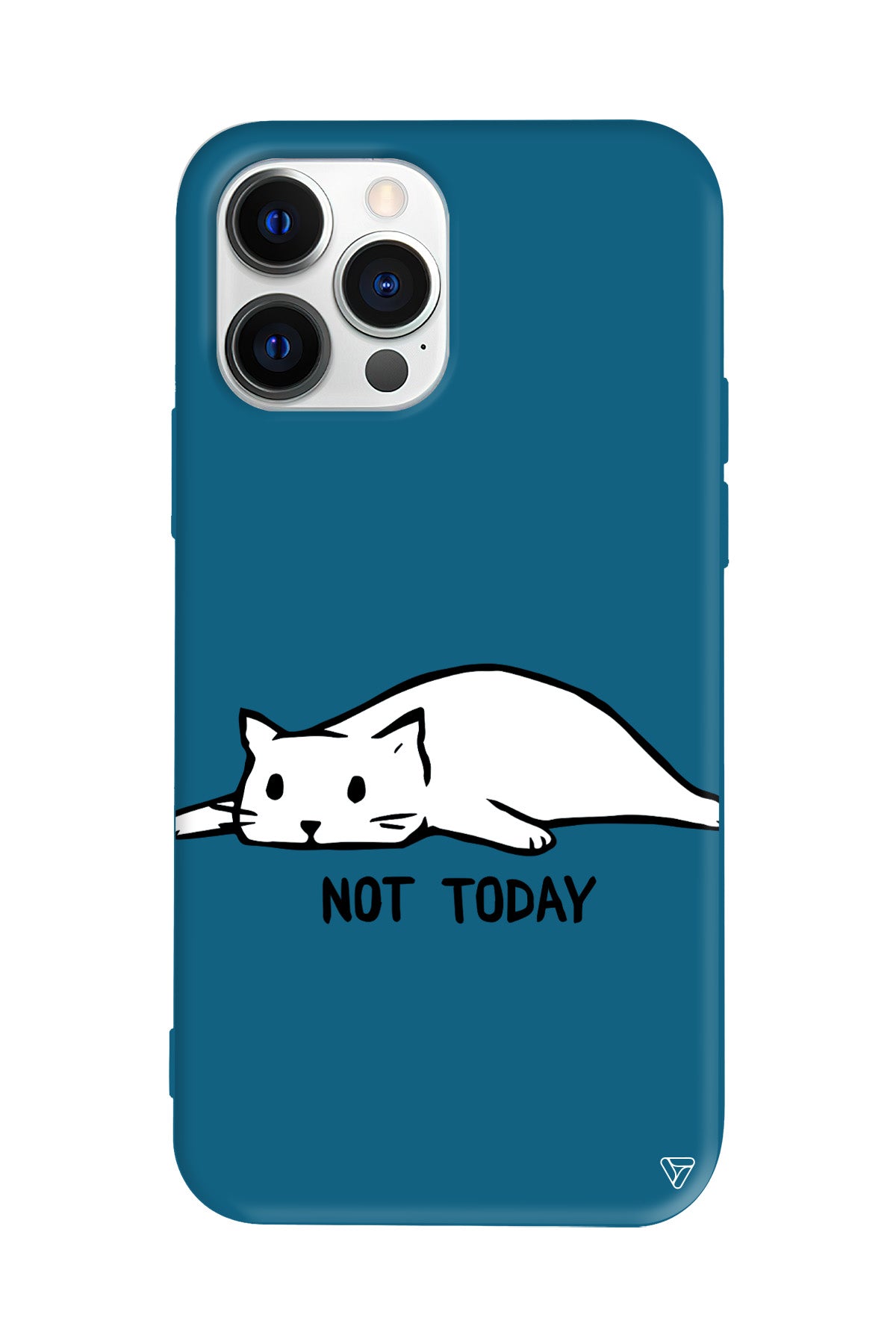 Kedi Not Today Lansman Model İçi Kadife Silikon Telefon Kılıfı