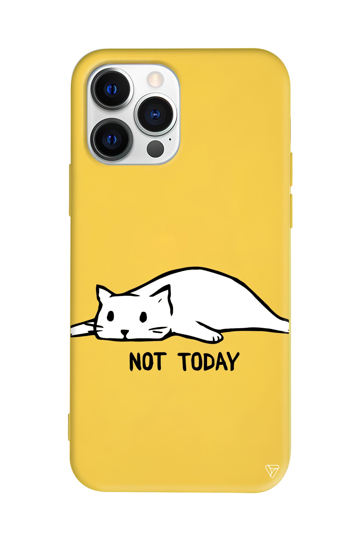 Kedi Not Today Lansman Model İçi Kadife Silikon Telefon Kılıfı