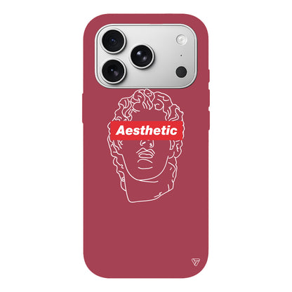 Aesthetic Lansman Model İçi Kadife Silikon Telefon Kılıfı