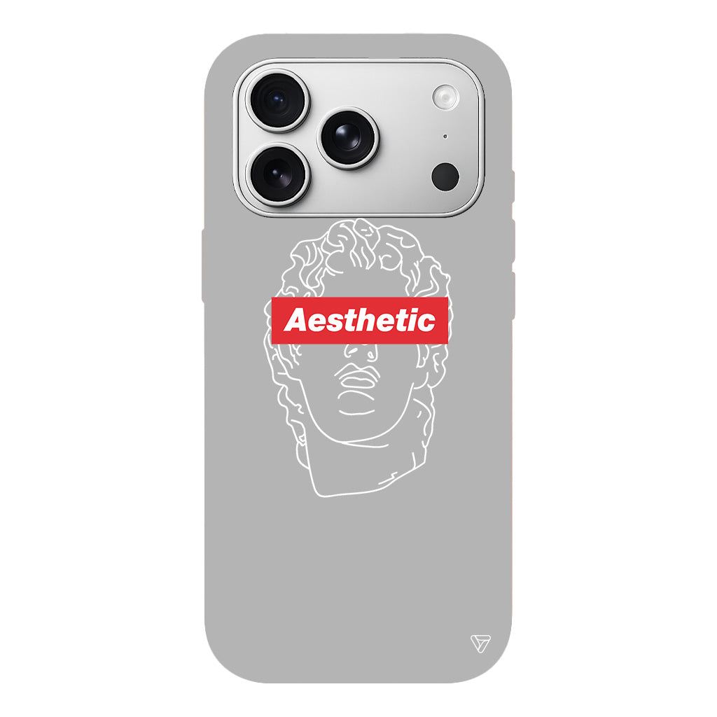 Aesthetic Lansman Model İçi Kadife Silikon Telefon Kılıfı