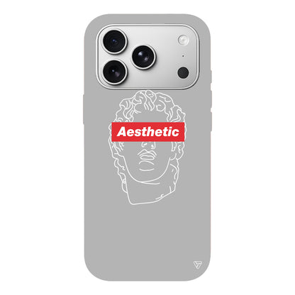 Aesthetic Lansman Model İçi Kadife Silikon Telefon Kılıfı