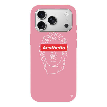 Aesthetic Lansman Model İçi Kadife Silikon Telefon Kılıfı