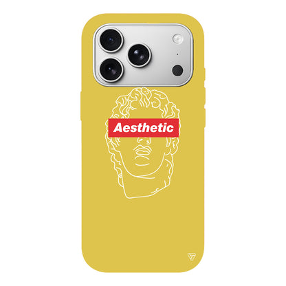 Aesthetic Lansman Model İçi Kadife Silikon Telefon Kılıfı