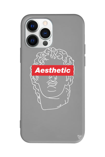 Aesthetic Lansman Model İçi Kadife Silikon Telefon Kılıfı