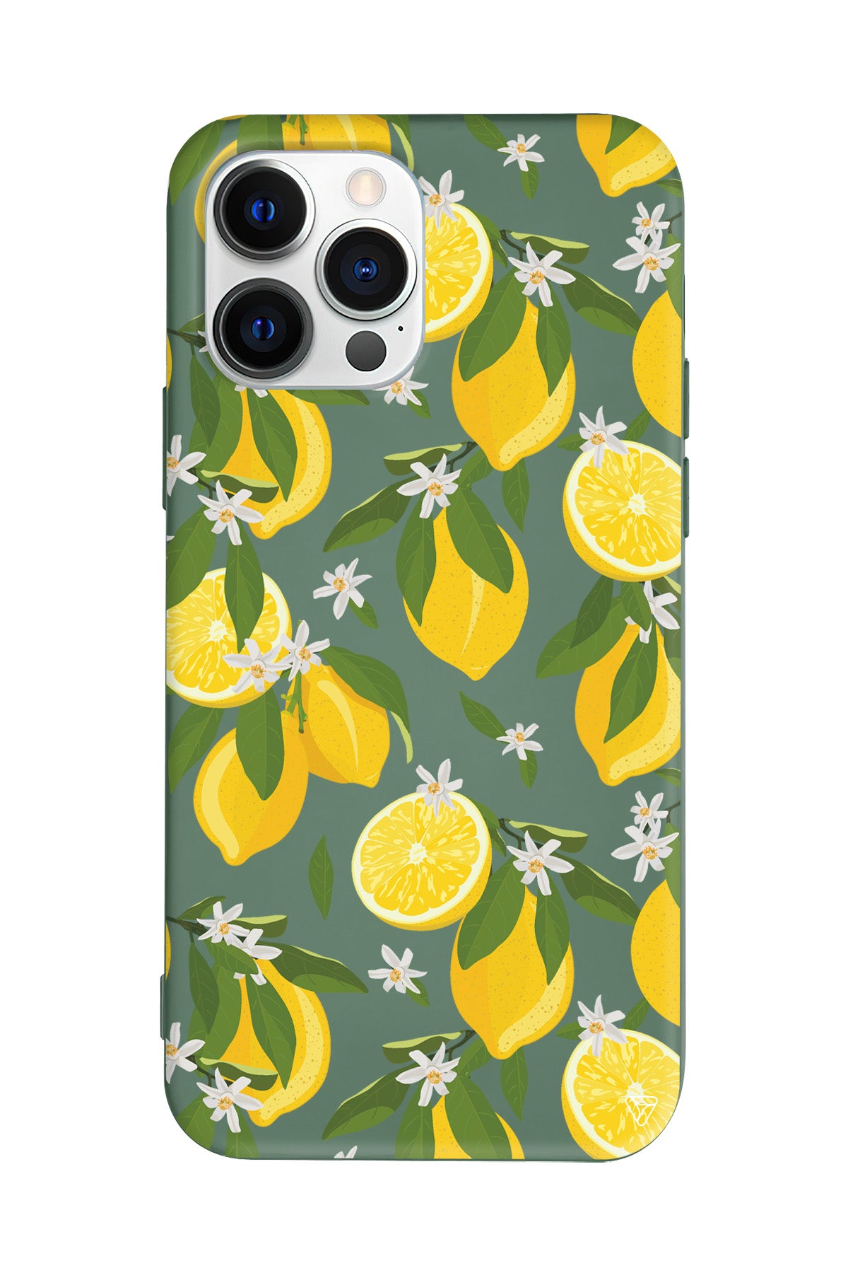 Limon Dilimleri Lansman Model İçi Kadife Silikon Telefon Kılıfı